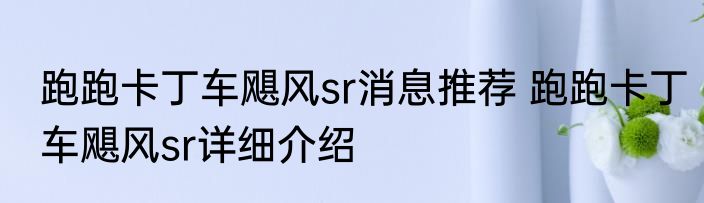 跑跑卡丁车飓风sr消息推荐 跑跑卡丁车飓风sr详细介绍
