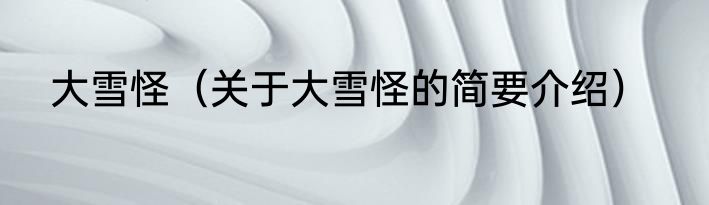 大雪怪（关于大雪怪的简要介绍）