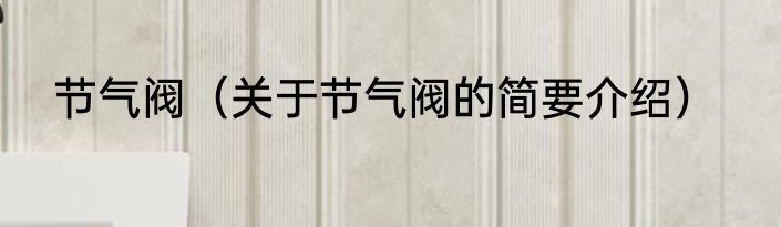 节气阀（关于节气阀的简要介绍）