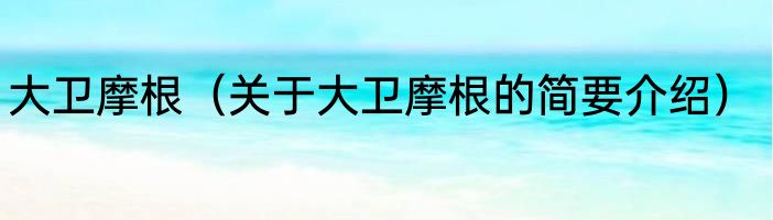 大卫摩根（关于大卫摩根的简要介绍）