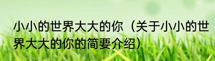 小小的世界大大的你（关于小小的世界大大的你的简要介绍）