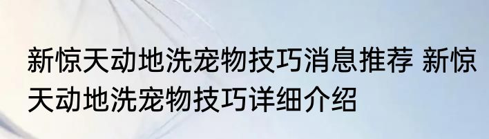 新惊天动地洗宠物技巧消息推荐 新惊天动地洗宠物技巧详细介绍