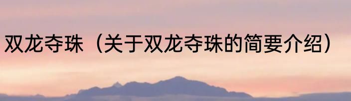 双龙夺珠（关于双龙夺珠的简要介绍）