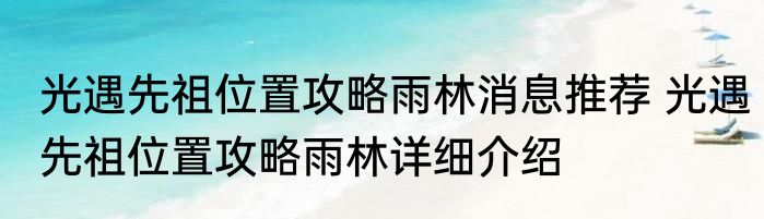 光遇先祖位置攻略雨林消息推荐 光遇先祖位置攻略雨林详细介绍