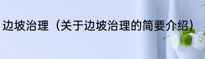 边坡治理（关于边坡治理的简要介绍）