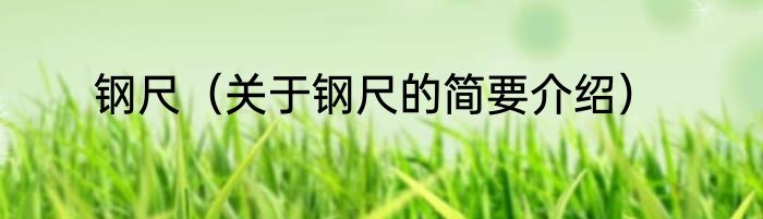 钢尺（关于钢尺的简要介绍）