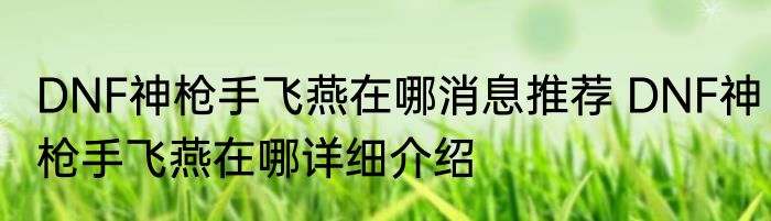 DNF神枪手飞燕在哪消息推荐 DNF神枪手飞燕在哪详细介绍