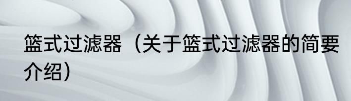 篮式过滤器（关于篮式过滤器的简要介绍）