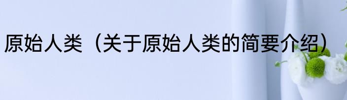 原始人类（关于原始人类的简要介绍）