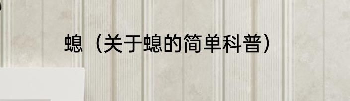 螅（关于螅的简单科普）