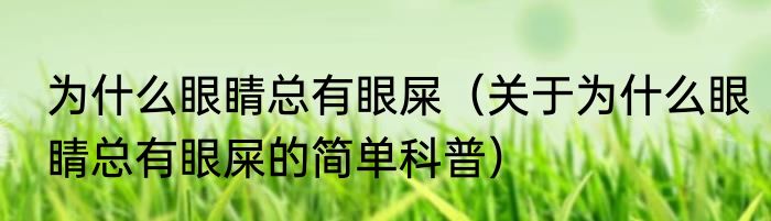 为什么眼睛总有眼屎（关于为什么眼睛总有眼屎的简单科普）