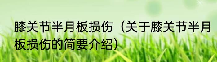 膝关节半月板损伤（关于膝关节半月板损伤的简要介绍）