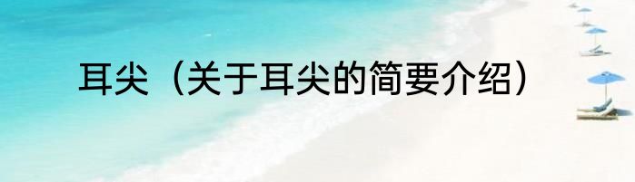 耳尖（关于耳尖的简要介绍）
