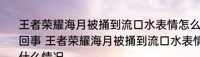 王者荣耀海月被捅到流口水表情怎么回事 王者荣耀海月被捅到流口水表情什么情况