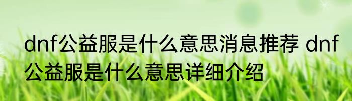 dnf公益服是什么意思消息推荐 dnf公益服是什么意思详细介绍
