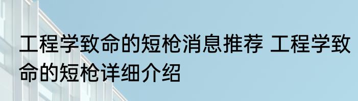 工程学致命的短枪消息推荐 工程学致命的短枪详细介绍