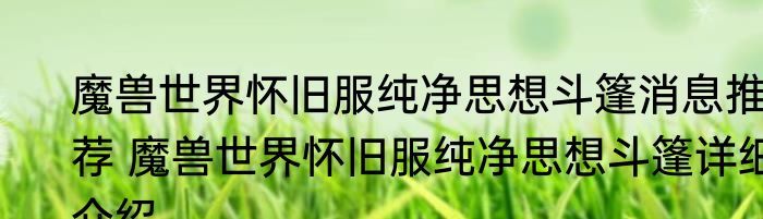魔兽世界怀旧服纯净思想斗篷消息推荐 魔兽世界怀旧服纯净思想斗篷详细介绍