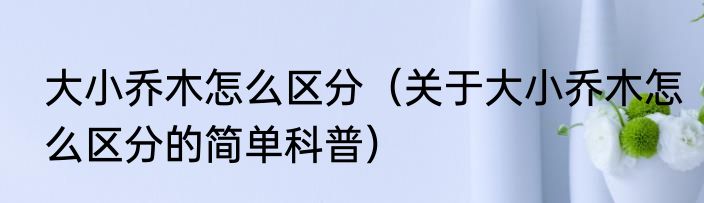 大小乔木怎么区分（关于大小乔木怎么区分的简单科普）