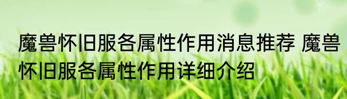 魔兽怀旧服各属性作用消息推荐 魔兽怀旧服各属性作用详细介绍