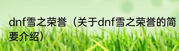dnf雪之荣誉（关于dnf雪之荣誉的简要介绍）