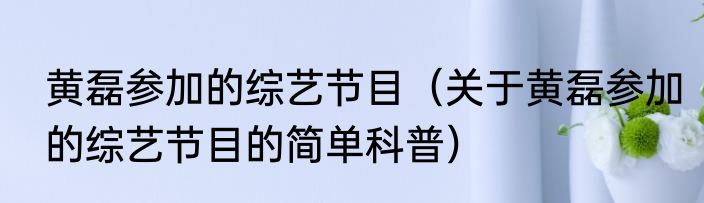 黄磊参加的综艺节目（关于黄磊参加的综艺节目的简单科普）