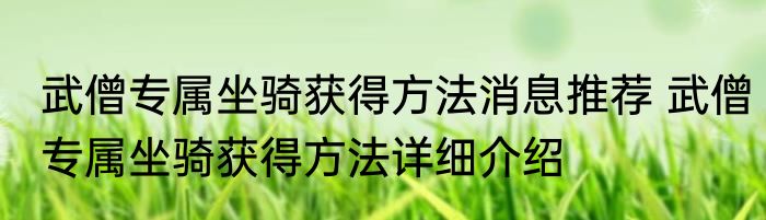 武僧专属坐骑获得方法消息推荐 武僧专属坐骑获得方法详细介绍