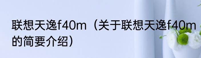 联想天逸f40m（关于联想天逸f40m的简要介绍）
