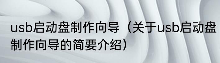usb启动盘制作向导（关于usb启动盘制作向导的简要介绍）