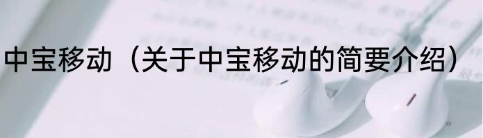 中宝移动（关于中宝移动的简要介绍）