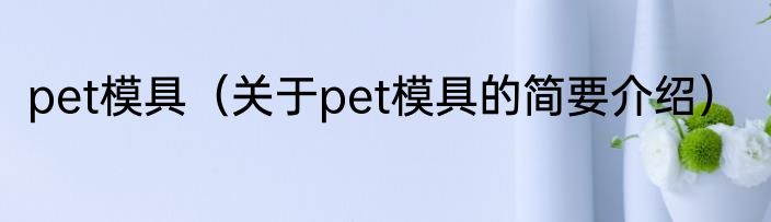 pet模具（关于pet模具的简要介绍）
