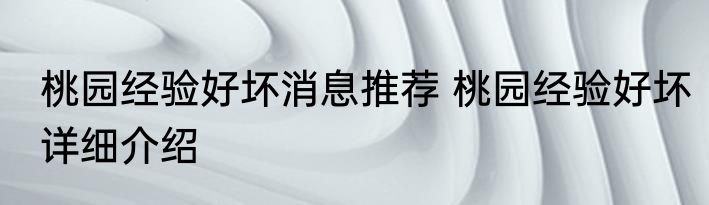 桃园经验好坏消息推荐 桃园经验好坏详细介绍