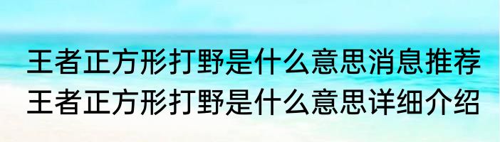 王者正方形打野是什么意思消息推荐 王者正方形打野是什么意思详细介绍
