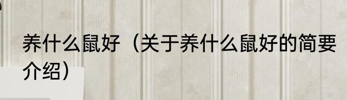 养什么鼠好（关于养什么鼠好的简要介绍）