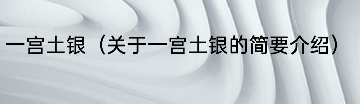 一宫土银（关于一宫土银的简要介绍）
