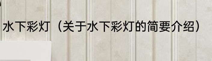 水下彩灯（关于水下彩灯的简要介绍）