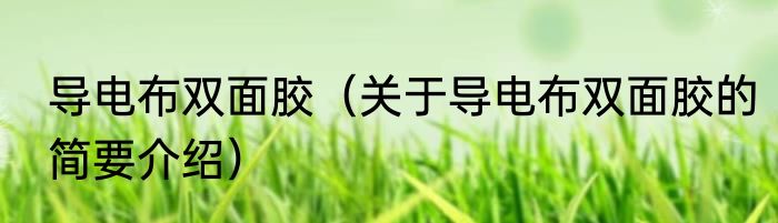 导电布双面胶（关于导电布双面胶的简要介绍）