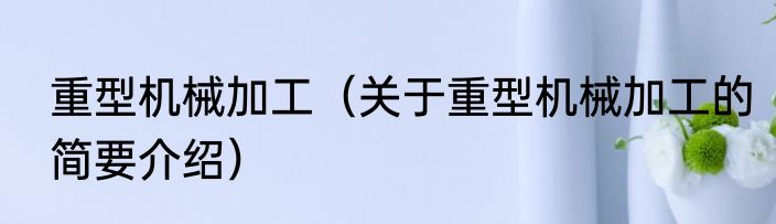 重型机械加工（关于重型机械加工的简要介绍）