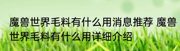 魔兽世界毛料有什么用消息推荐 魔兽世界毛料有什么用详细介绍