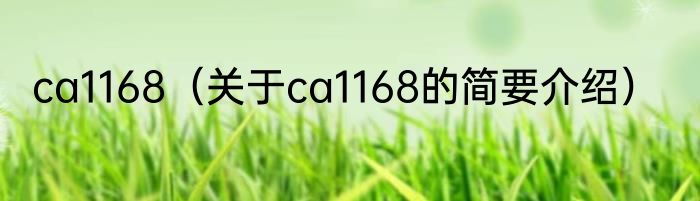 ca1168（关于ca1168的简要介绍）