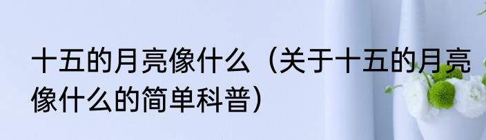 十五的月亮像什么（关于十五的月亮像什么的简单科普）