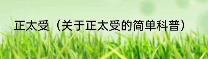 正太受（关于正太受的简单科普）