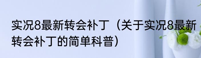 实况8最新转会补丁（关于实况8最新转会补丁的简单科普）