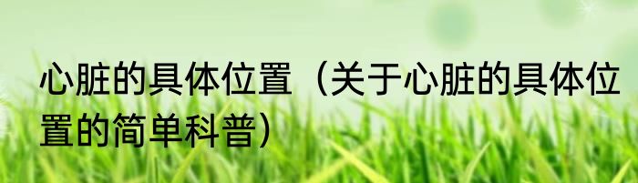 心脏的具体位置（关于心脏的具体位置的简单科普）