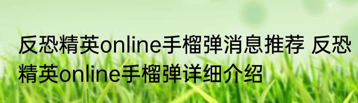 反恐精英online手榴弹消息推荐 反恐精英online手榴弹详细介绍