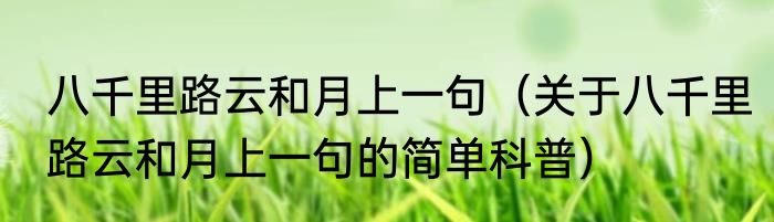 八千里路云和月上一句（关于八千里路云和月上一句的简单科普）