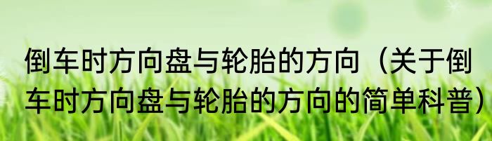 倒车时方向盘与轮胎的方向（关于倒车时方向盘与轮胎的方向的简单科普）