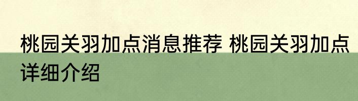 桃园关羽加点消息推荐 桃园关羽加点详细介绍
