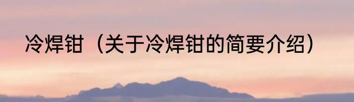 冷焊钳（关于冷焊钳的简要介绍）