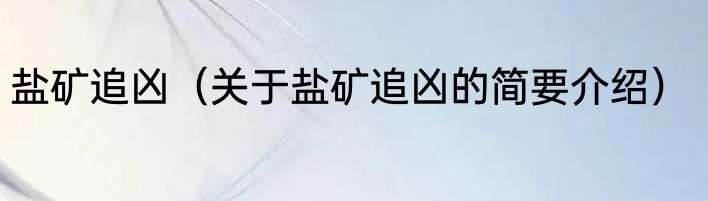 盐矿追凶（关于盐矿追凶的简要介绍）