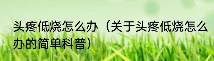 头疼低烧怎么办（关于头疼低烧怎么办的简单科普）